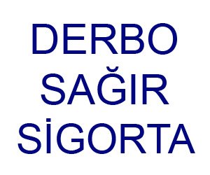 Derbo Sağır Si̇gorta Acentesi̇