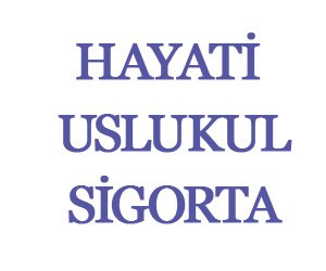 Hayati̇ Uslukul Si̇gorta Acentesi̇