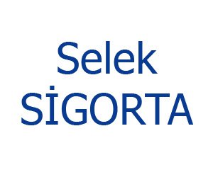 Selek Si̇gorta Acentesi̇